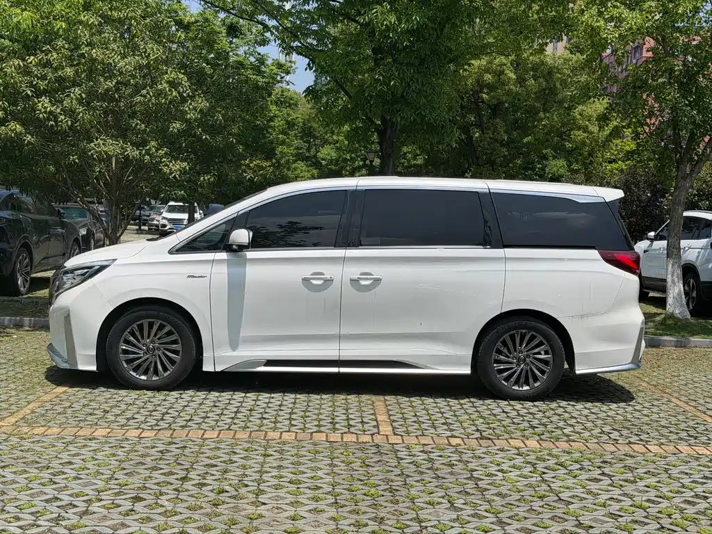 GAC Motor Trumpchi M8 2021 — фото 20