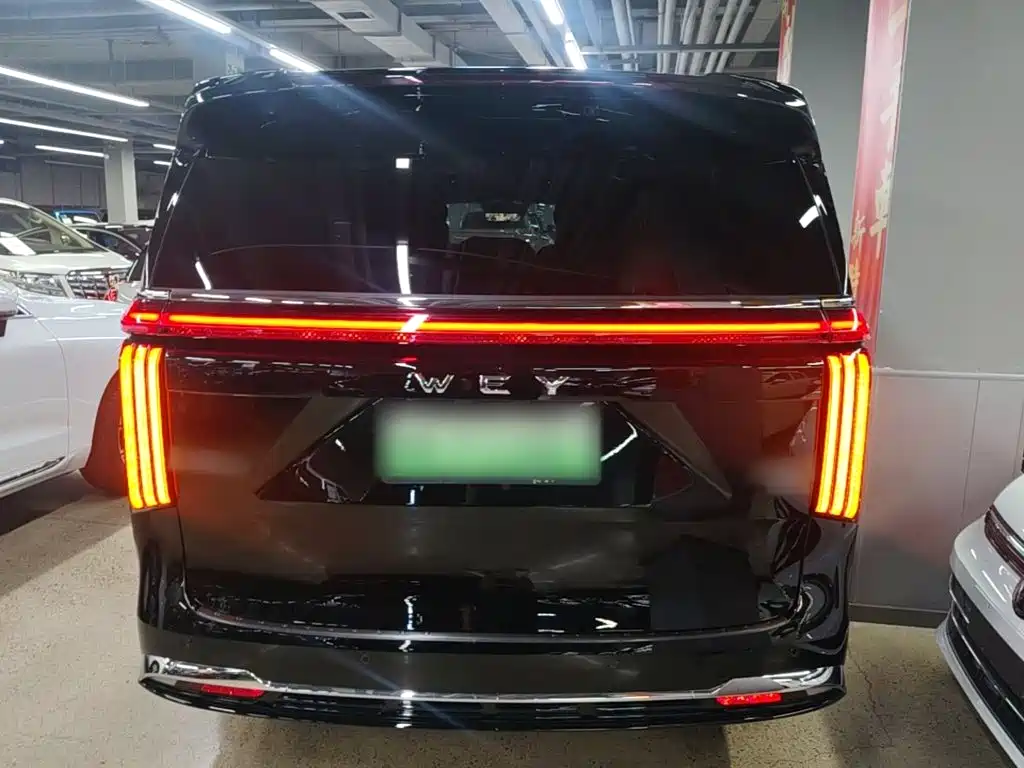 Wey Gaoshan 2026
