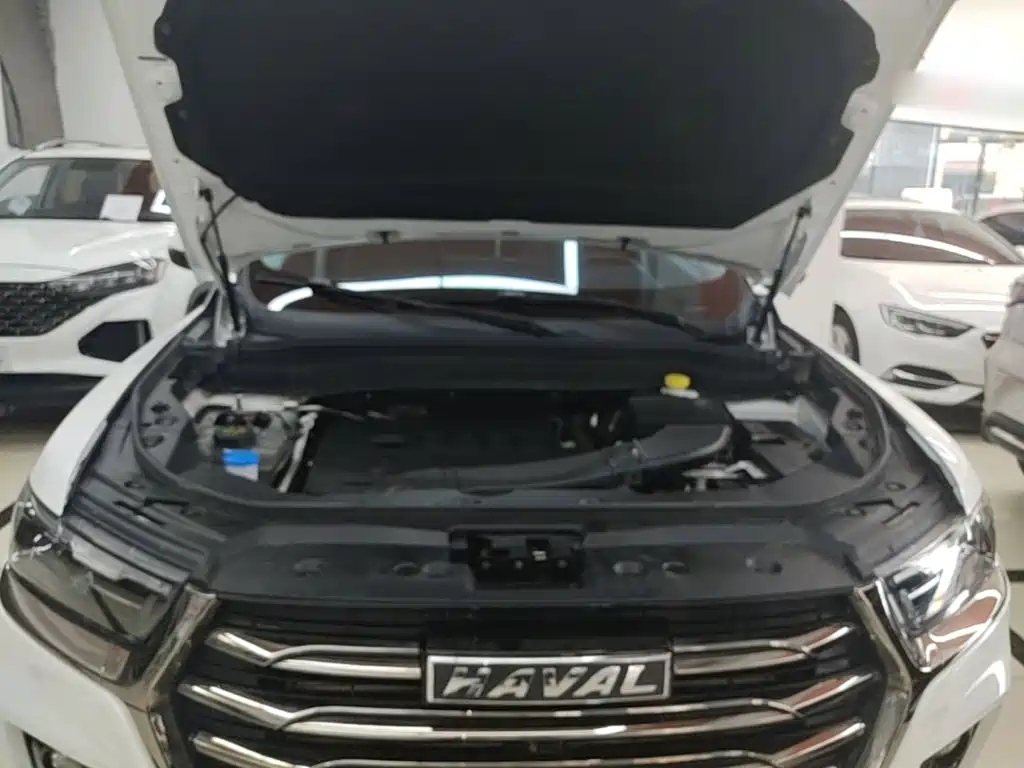 Haval H6 2023 — фото 16