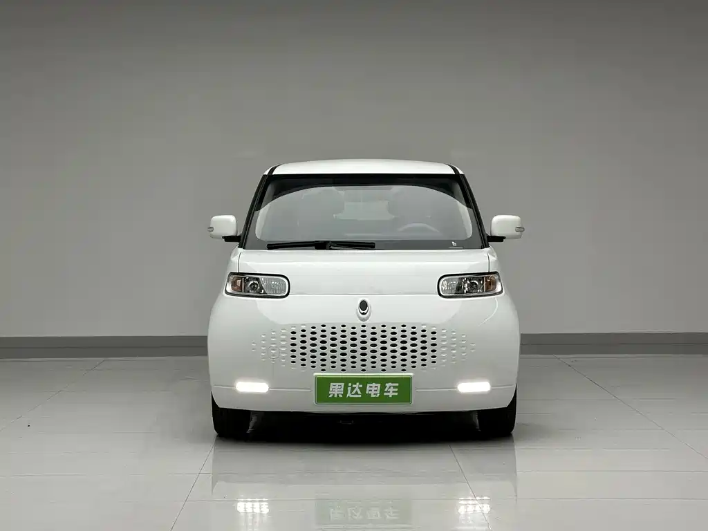 Ora White Cat 2021