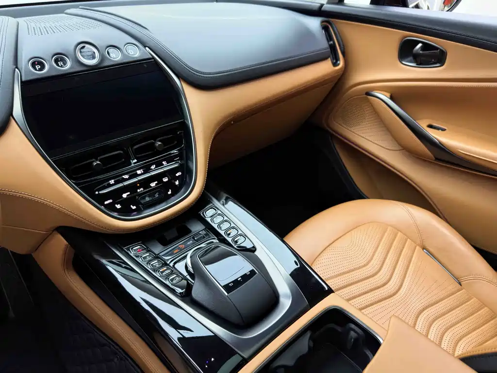 Aston Martin DBX 2021 — фото 20