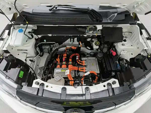 Dongfeng Nano EX1 2024