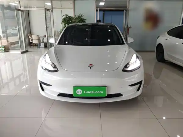 Tesla Model 3 2020