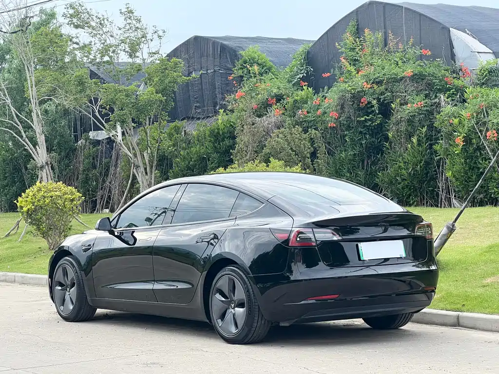 Tesla Model 3 2020 — фото 5