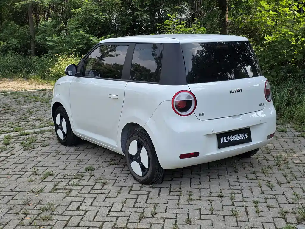 Changan Lumin 2025
