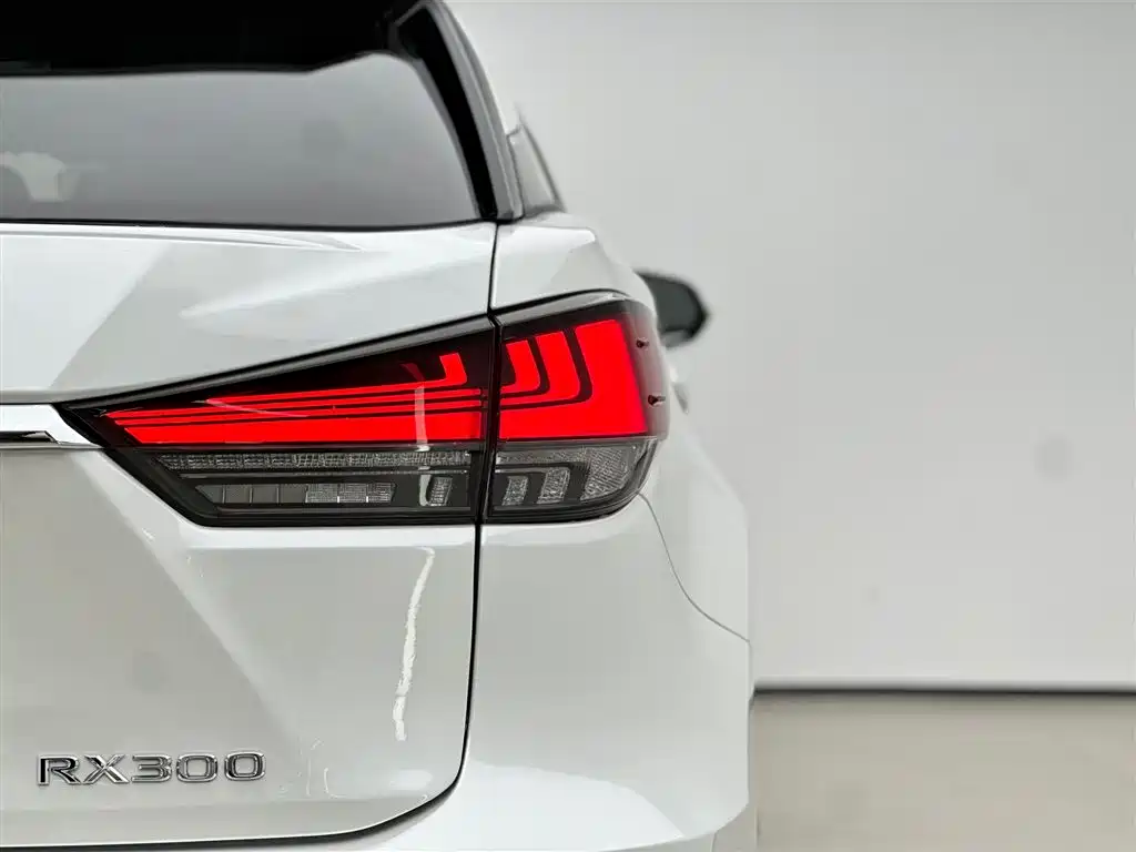 Lexus RX 2022 — фото 17