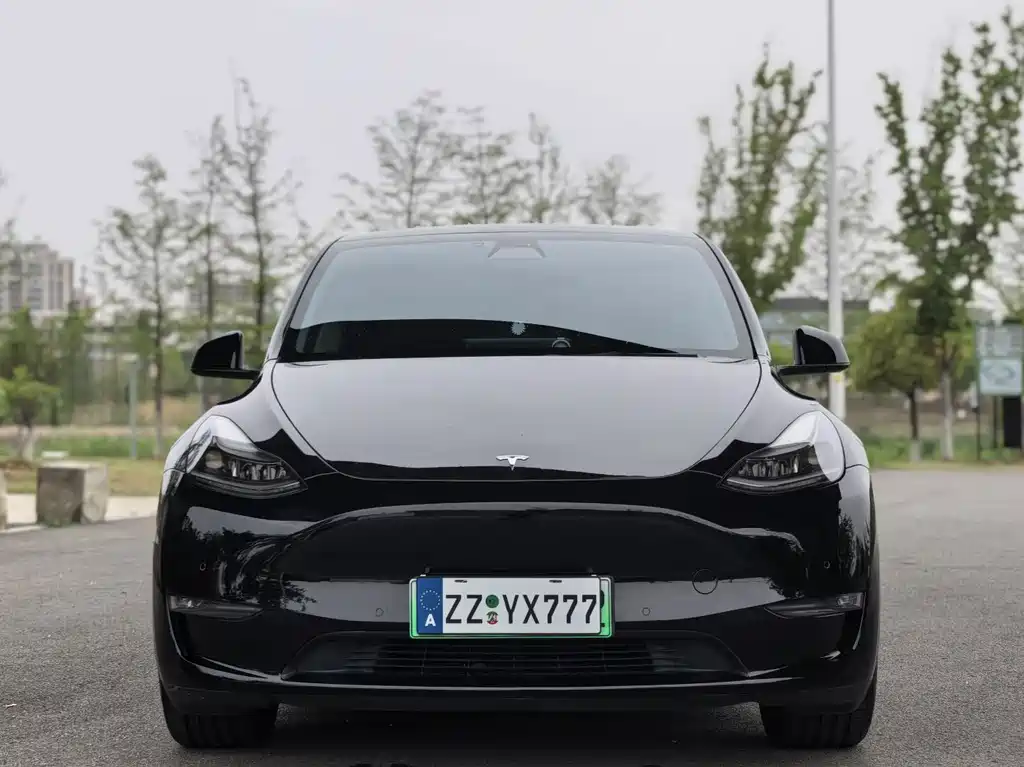 Tesla Model Y 2022 — фото 2