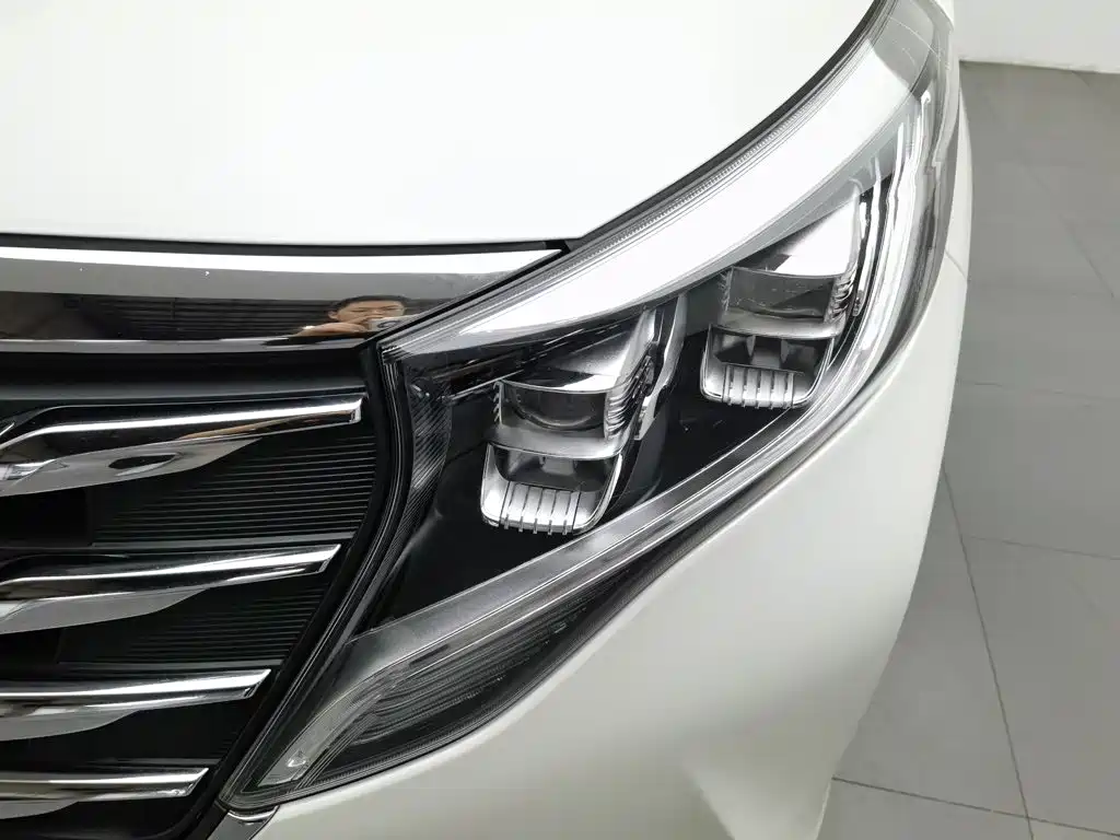 GAC Trumpchi M8 2019 — фото 7