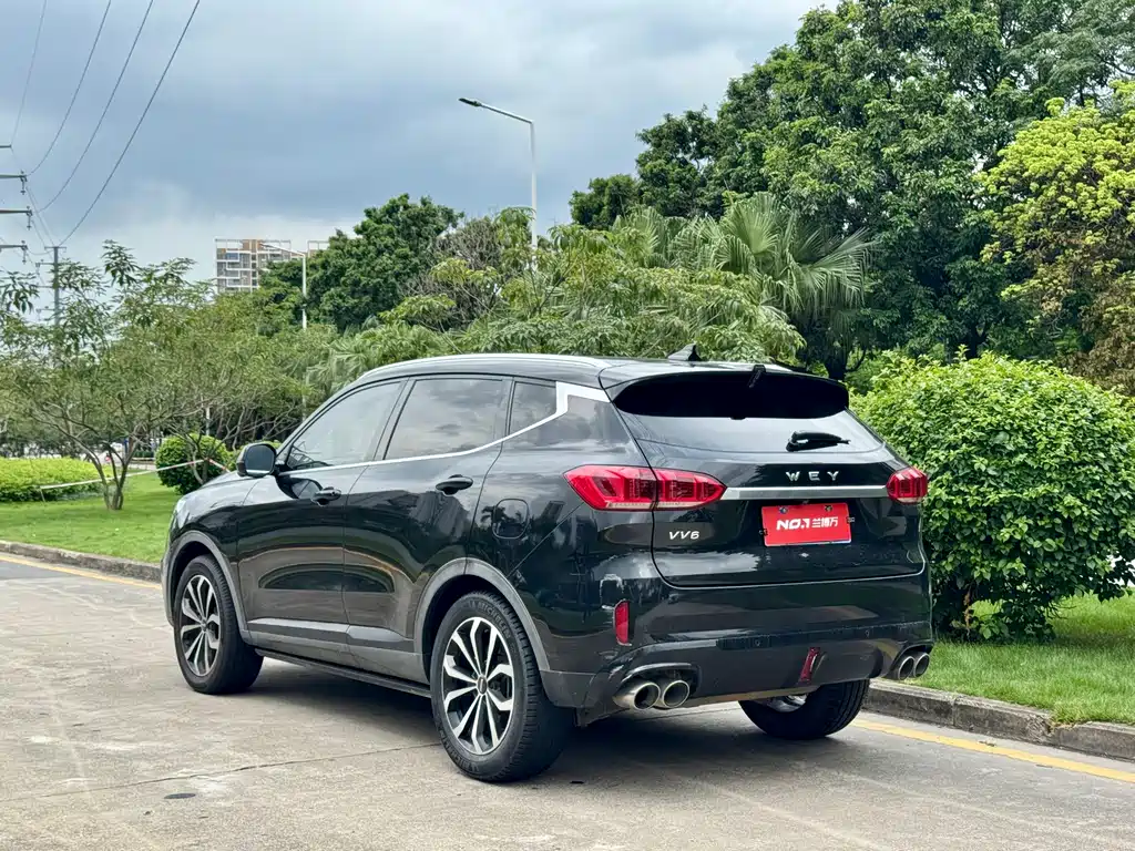 Wey VV6 2019