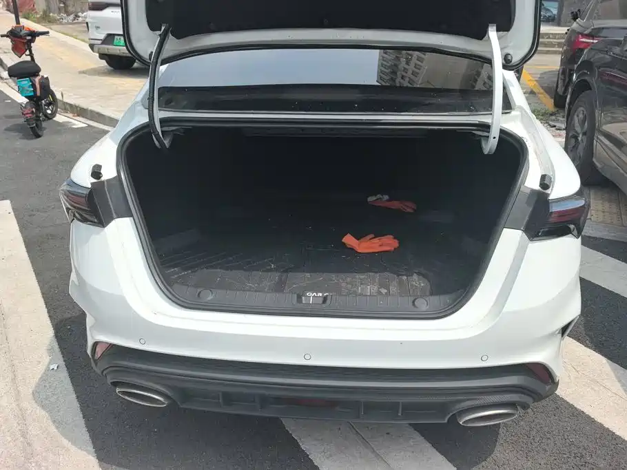 Geely Binrui 2025