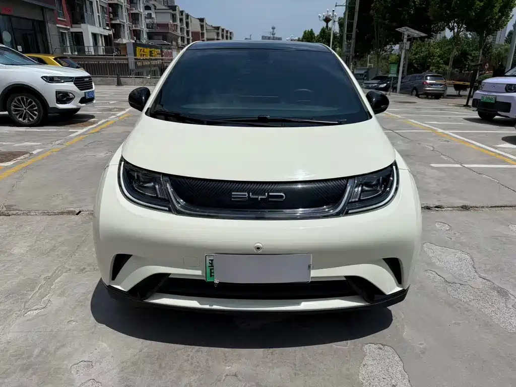 BYD Dolphin 2022