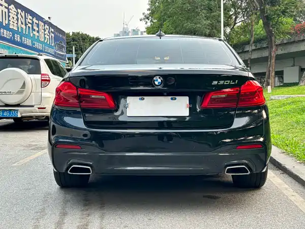 BMW 5 Series 2019