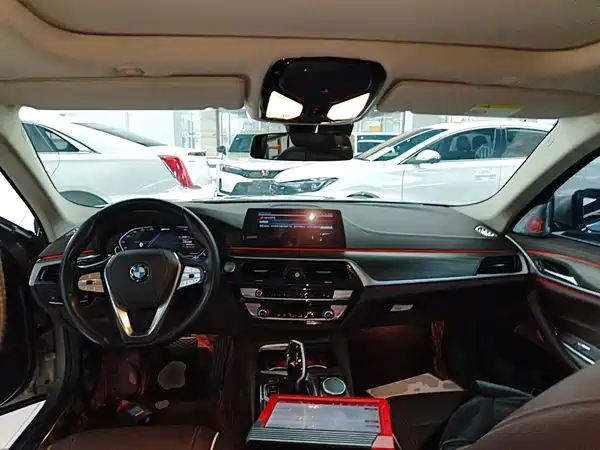 BMW 5 Series New Energy 2020