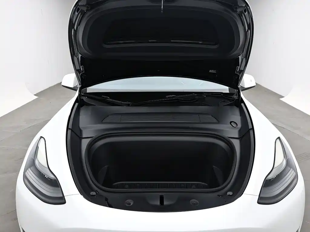 Tesla Model Y 2021 — фото 16