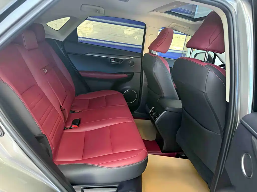 Lexus NX 2020 — фото 19