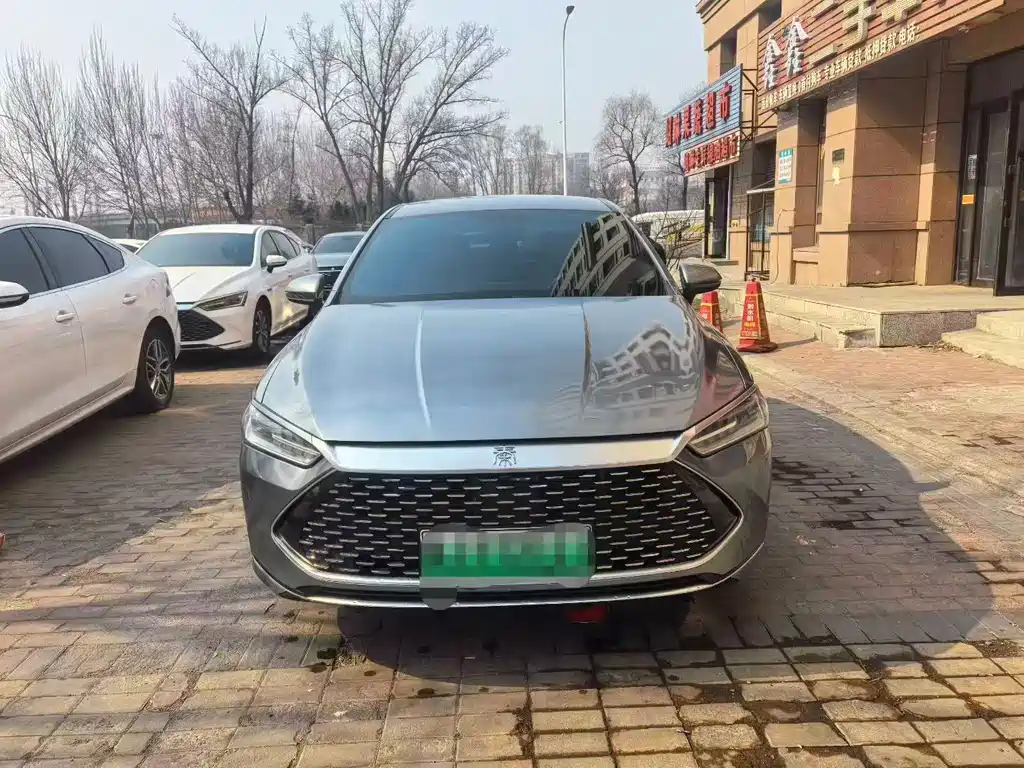 BYD Qin PLUS 2023 — фото 2