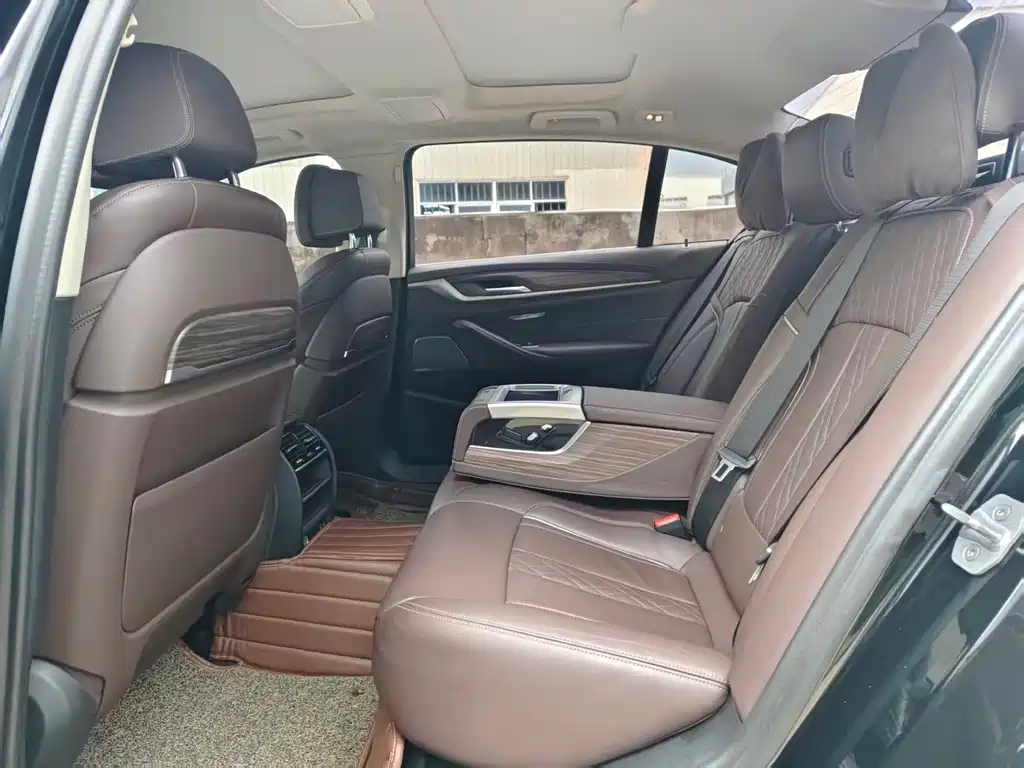 BMW 5 Series New Energy 2019