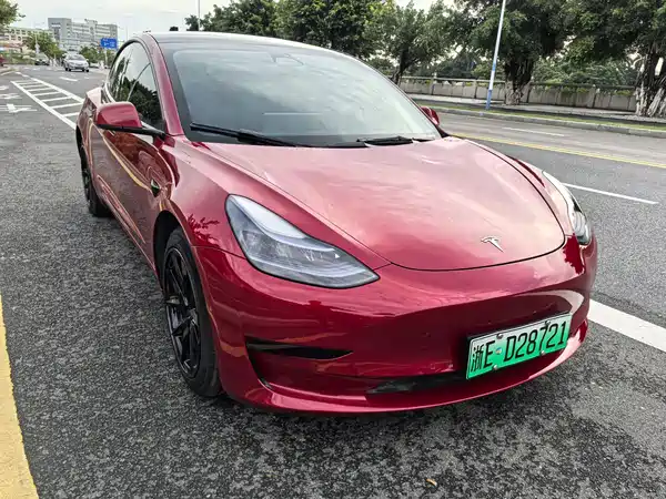 Tesla Model 3 2022