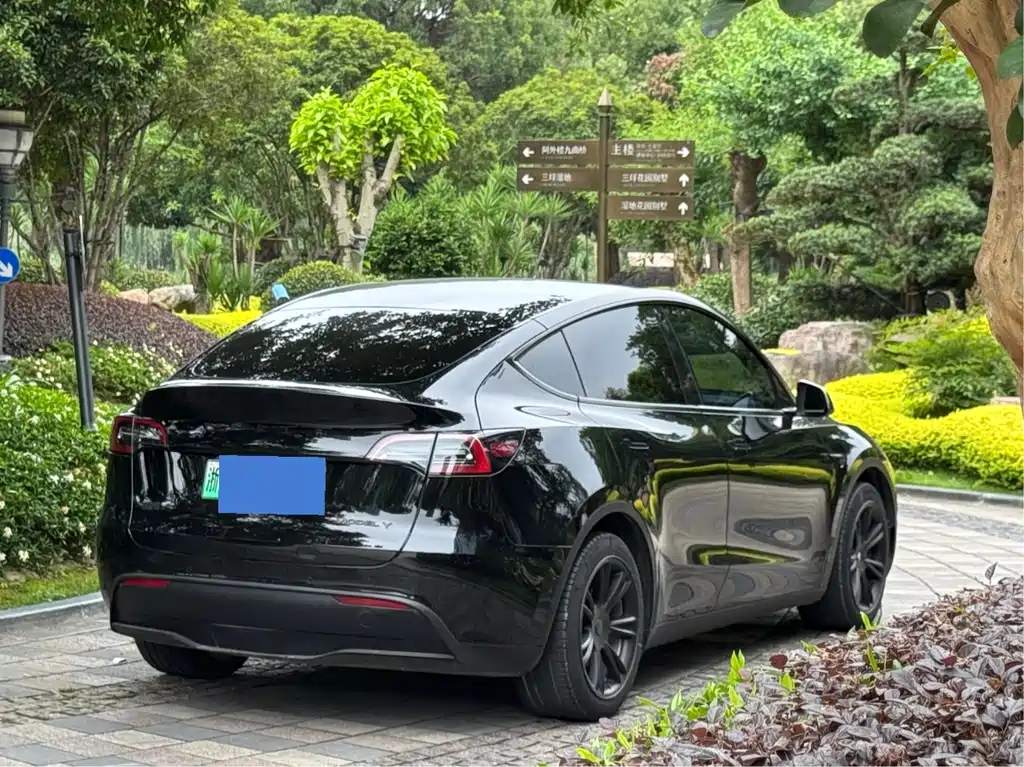 Tesla Model Y 2023 — фото 6