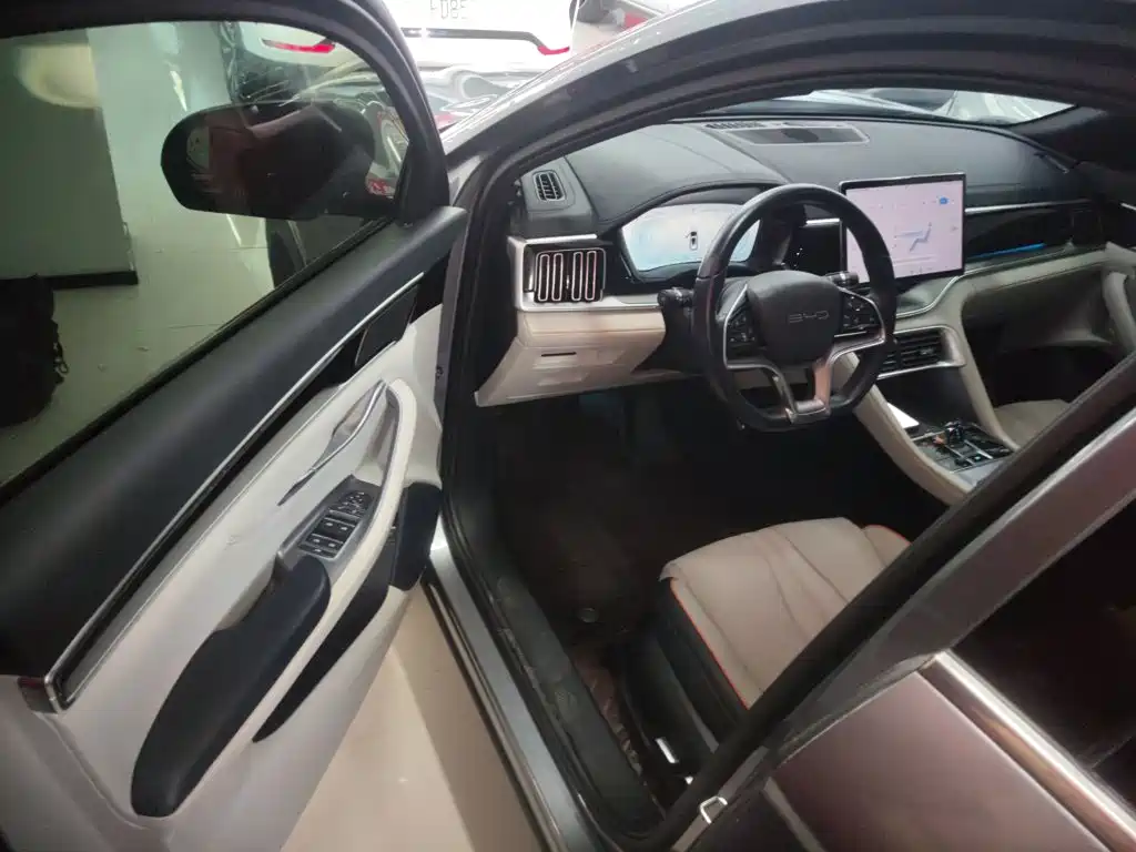 BYD Song PLUS New Energy 2023 — фото 12