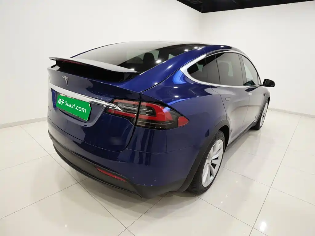 Tesla Model X 2019
