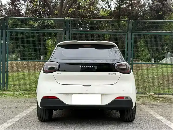 Dongfeng Nano 01 2025