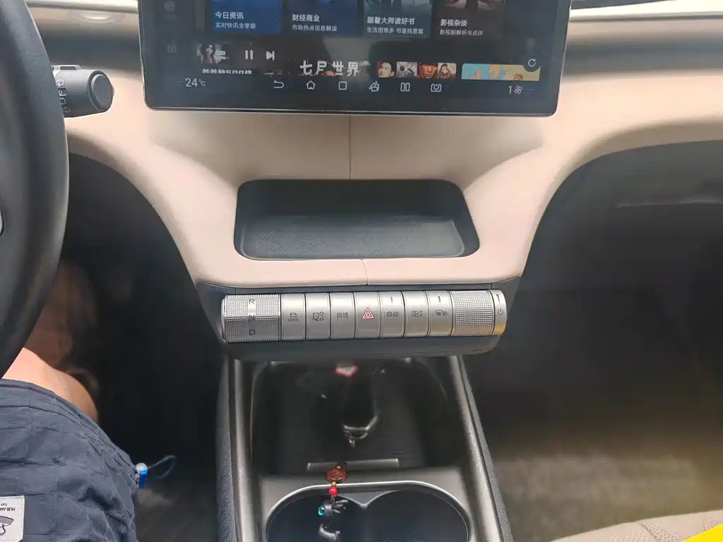 BYD Dolphin 2024