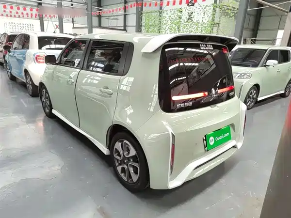 Ora White Cat 2022