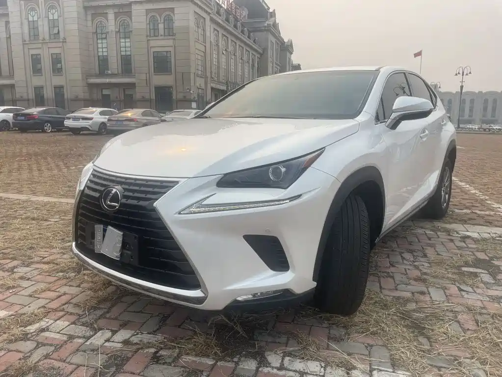 Lexus NX 2018 — фото 1