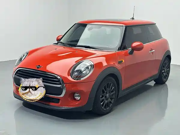 MINI MINI 2018