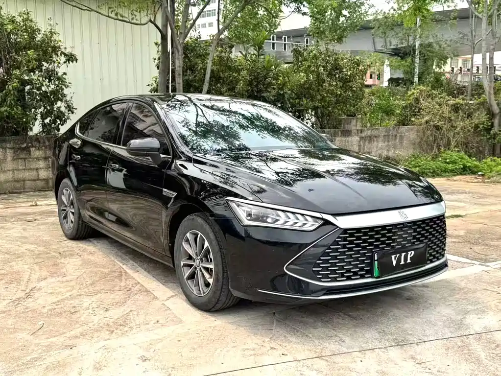 BYD Qin PLUS 2023 — фото 3