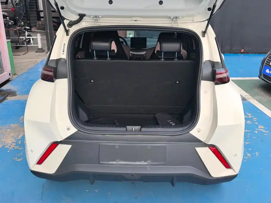 BYD Seagull 2024