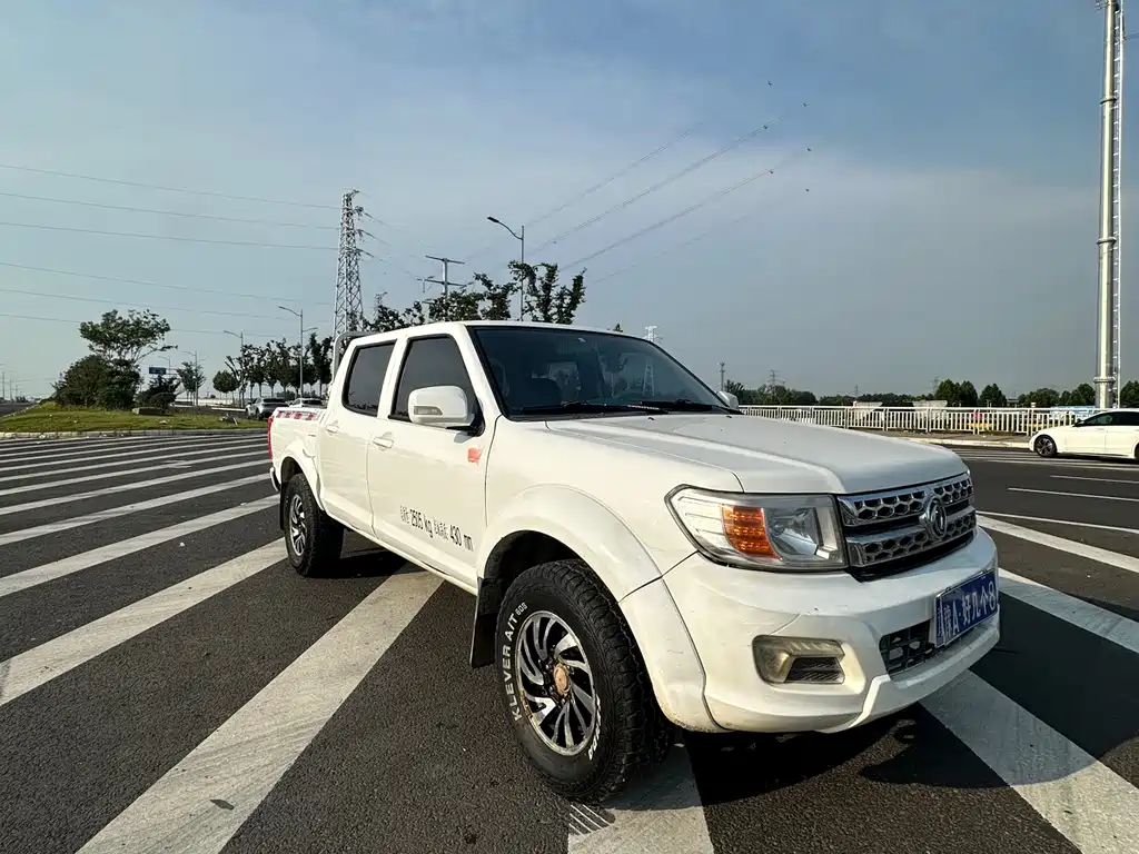 Dongfeng Ruiqi 2017