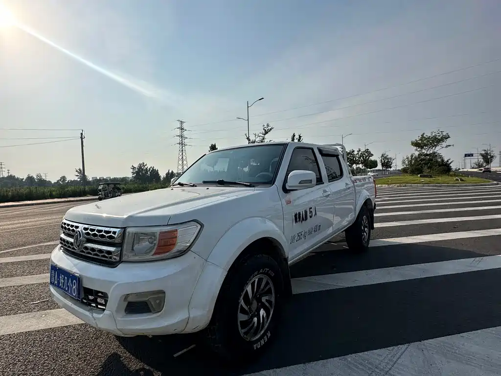 Dongfeng Ruiqi 2017