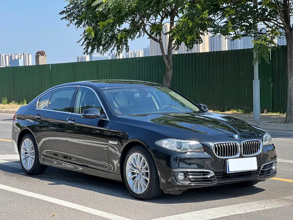 BMW 5 Series 2014 — фото 3