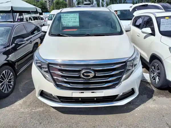 GAC Trumpchi M8 2019