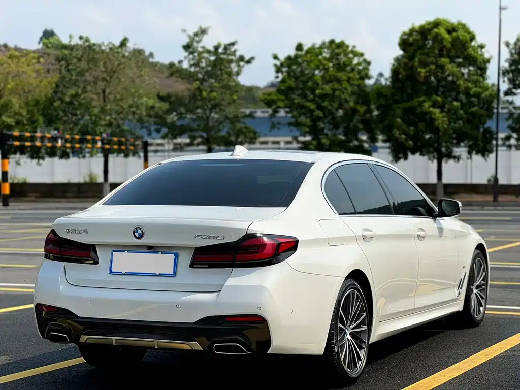 BMW 5 Series 2021