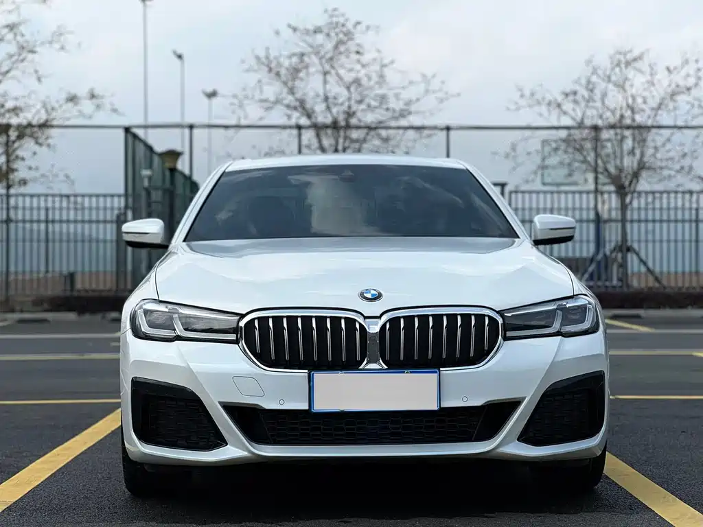BMW 5 Series 2021