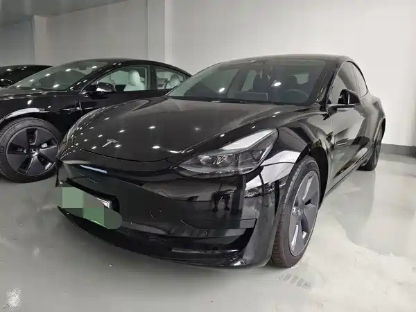Tesla Model 3 2020