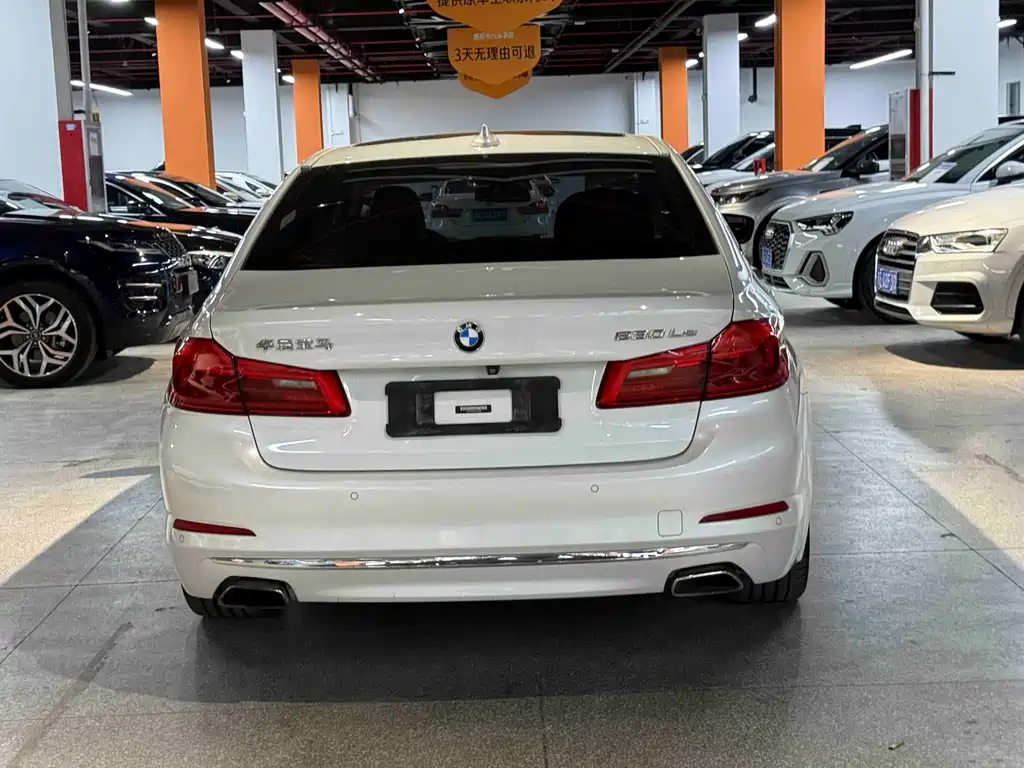 BMW 5 Series New Energy 2019