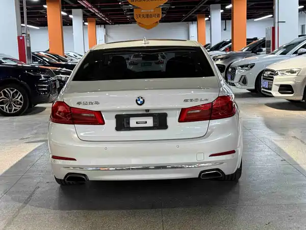 BMW 5 Series New Energy 2019