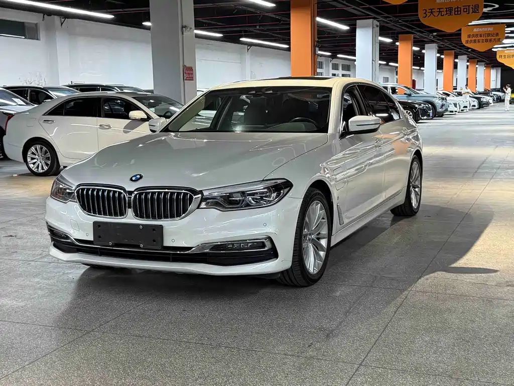BMW 5 Series New Energy 2019