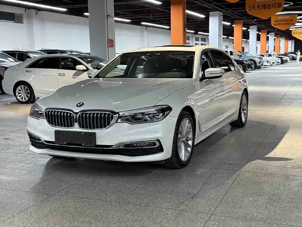 BMW 5 Series New Energy 2019