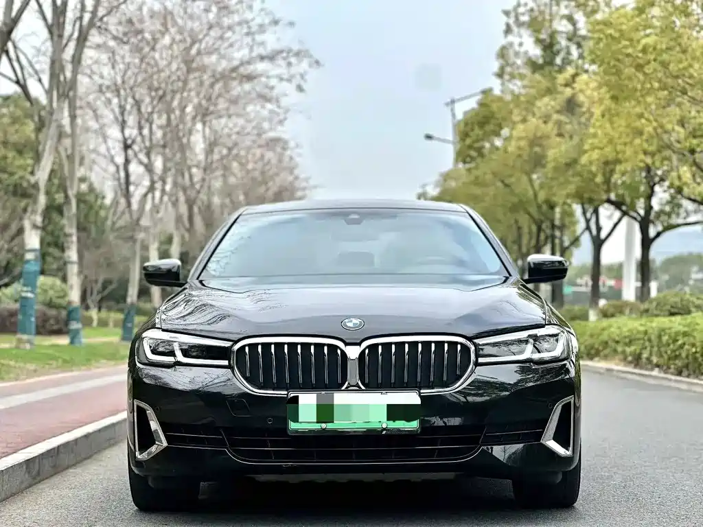 BMW 5 Series New Energy 2021 — фото 2