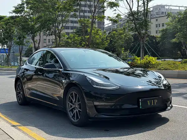 Tesla Model 3 2019