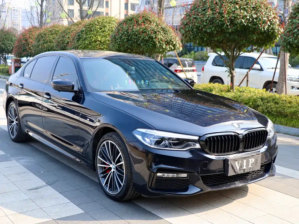 BMW 5 Series 2018 — фото 3