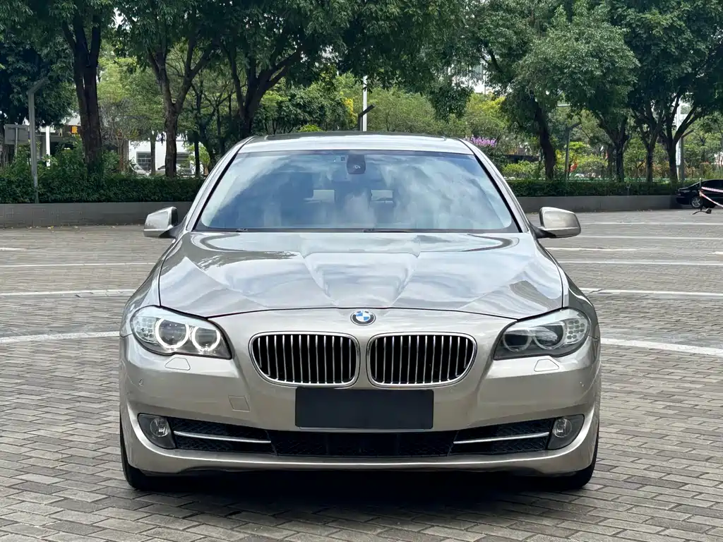 BMW 5 Series 2010