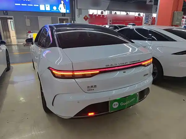 BYD Destroyer 05 2024