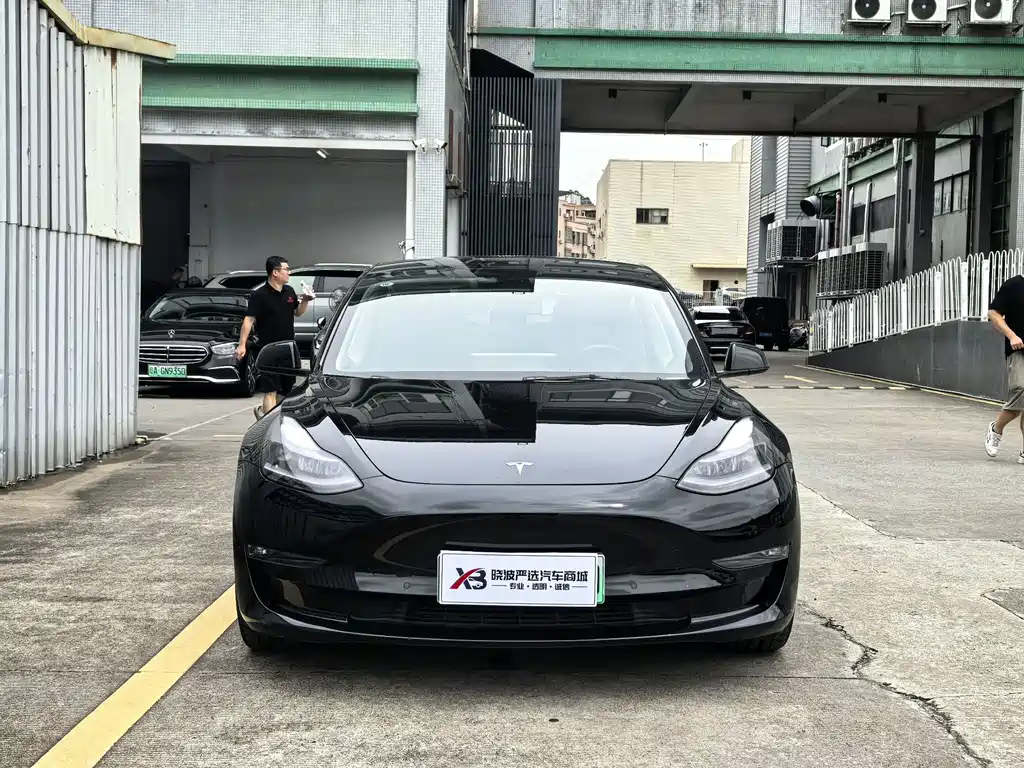 Tesla Model 3 2021