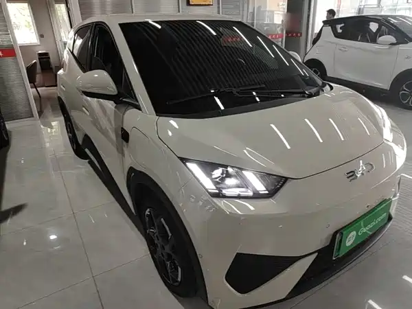 BYD Seagull 2025